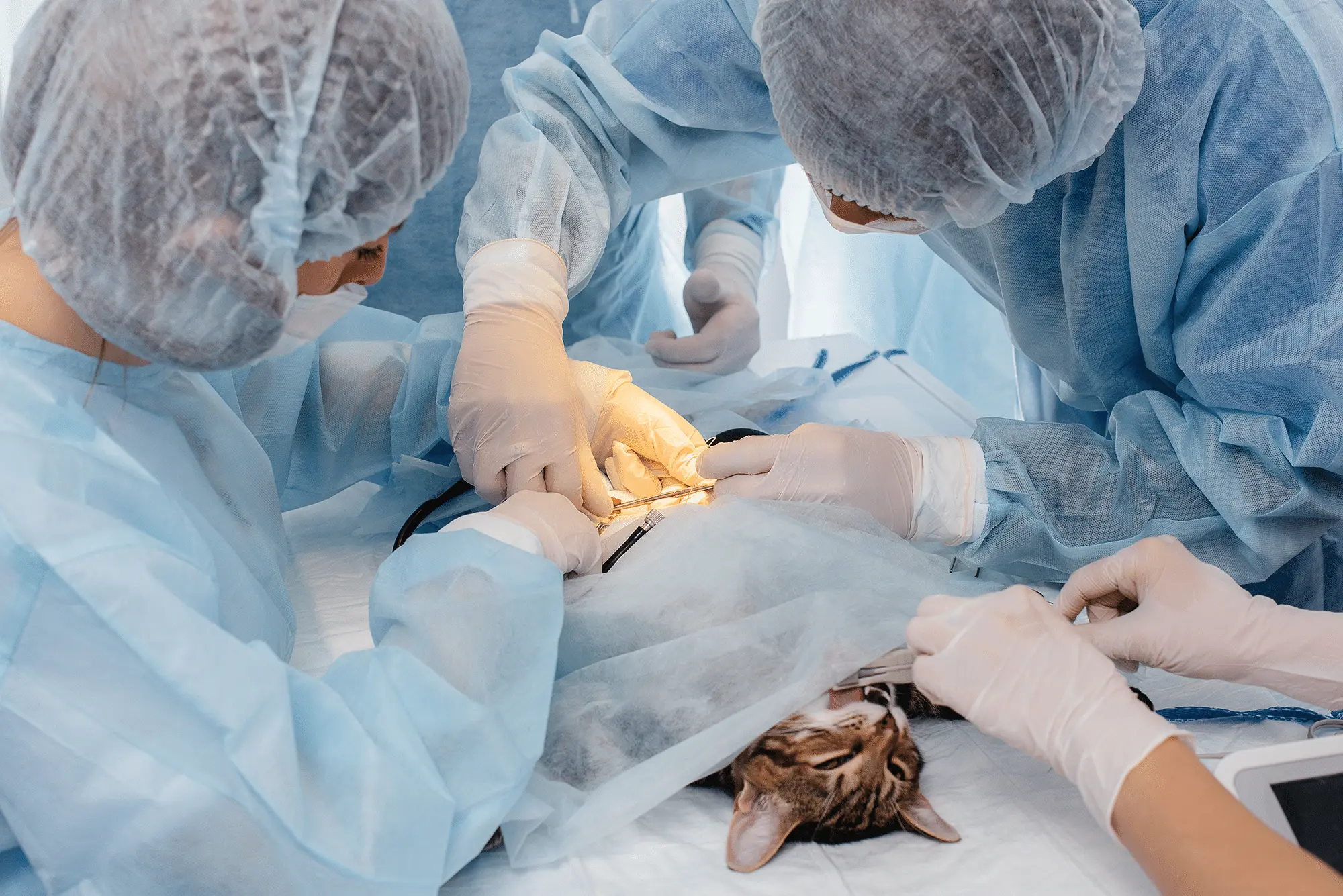 surgeonoperatinreaching